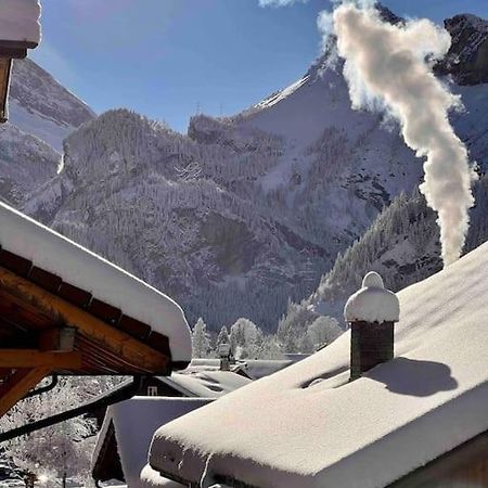 Apartamento Alpine Chalet Kandersteg Exterior foto